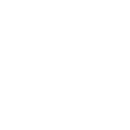 icon 01 (500 x 500 px) (1)